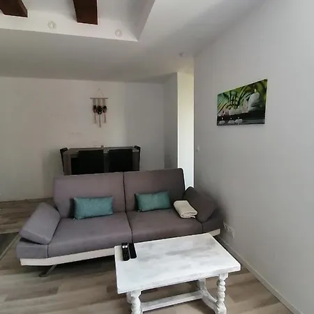 Jungle Zen Beau T2 Avec Jardin Gare 100m