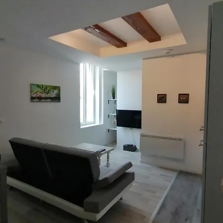 Jungle Zen Beau T2 Avec Jardin Gare 100m Apartman Tonneins