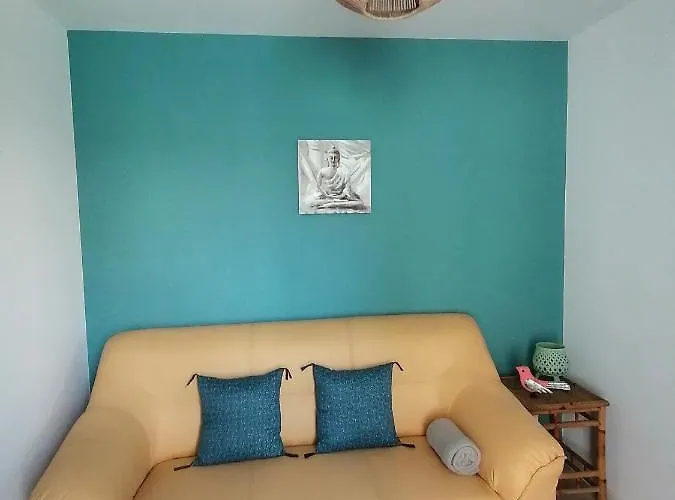 Jungle Zen Beau T2 Avec Jardin Gare 100m Apartamento