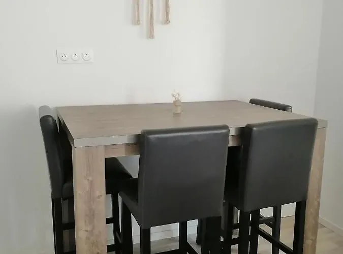 Jungle Zen Beau T2 Avec Jardin Gare 100m